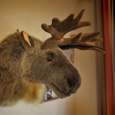 Eifelkrimihotel Ξενοδοχείο 3*