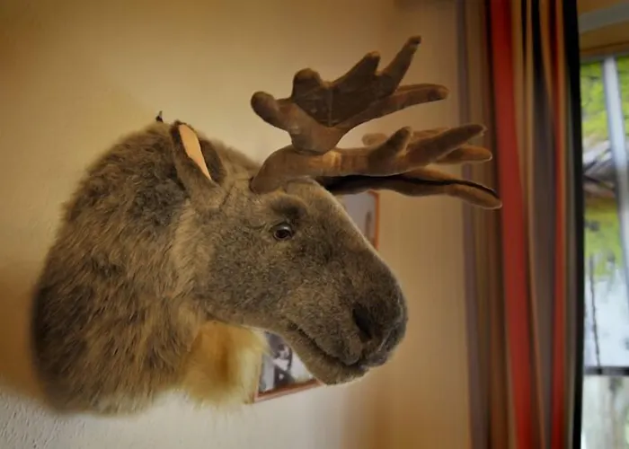 Eifelkrimihotel מלון 3*